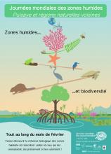 Journées mondiales des zones humides 2020